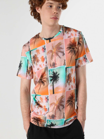 Футболки і поло Colin’s модель CL1064129_Q1.V1_MTC Фото