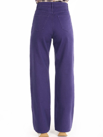 Штани Colin’s модель CL1065019_Q1.V1_PRP Фото