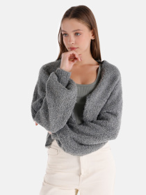 Кофты и свитера Colin’s модель CL1065265_Q1.V1_MGA Фото