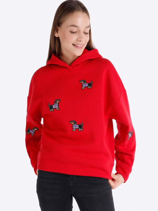 Кофты и свитера Colin’s модель CL1066314_Q1.V1_RED Фото