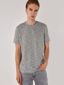 Футболки и поло Colin’s модель CL1062866_Q1.V1_ANT Фото