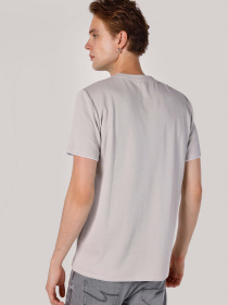 Футболки и поло Colin’s модель CL1064351_Q1.V1_LGR Фото