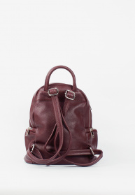 Рюкзаки Bella Bertucci модель 1235-103-32 Фото