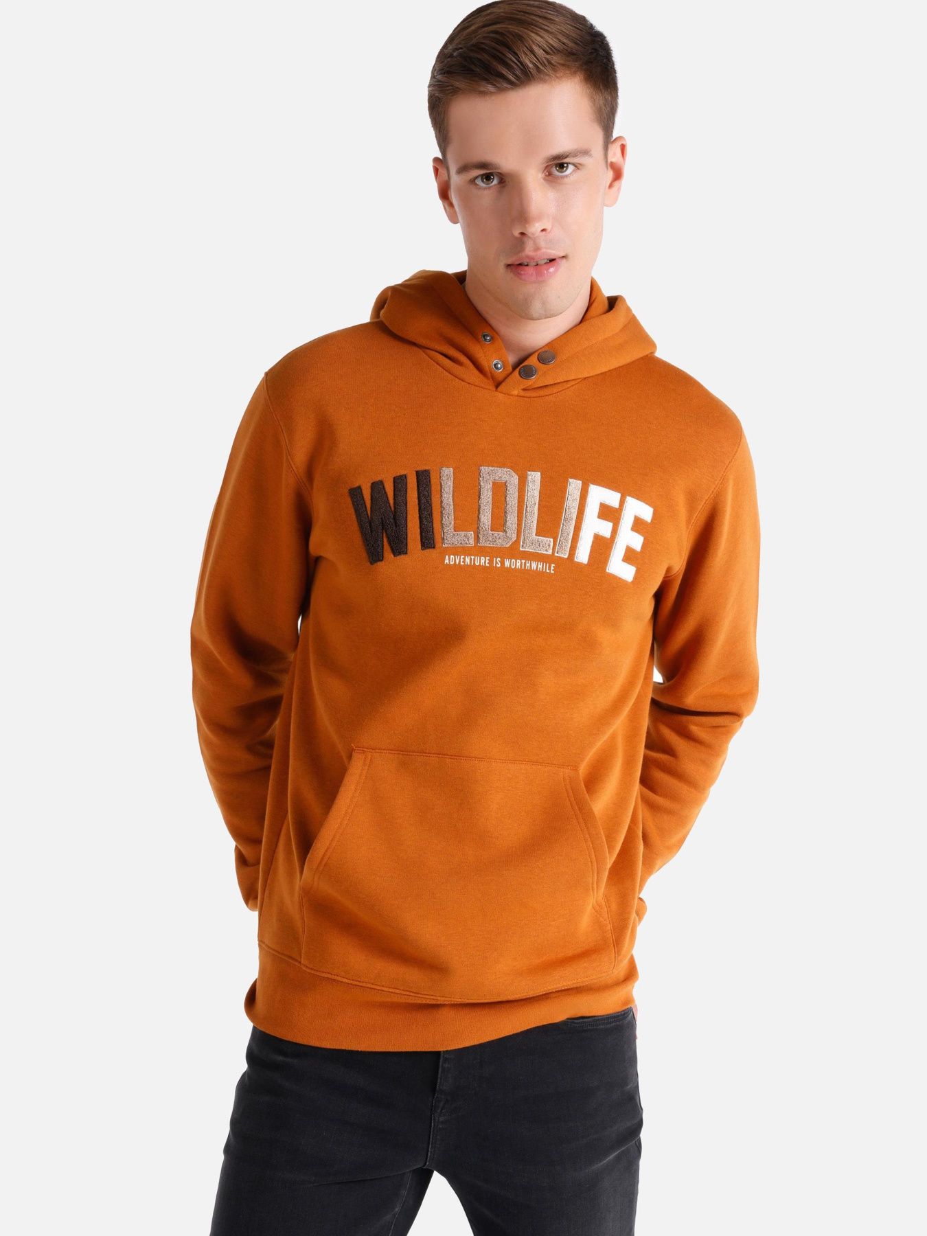 Кофты и свитера Colin’s модель CL1064827_Q1.V1_DSF Фото