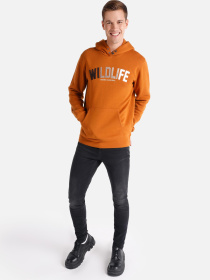 Худи и свитшоты Colin’s модель CL1064827_Q1.V1_DSF Худи и свитшоты Colin’s модель CL1064827_Q1.V1_DSF Фото