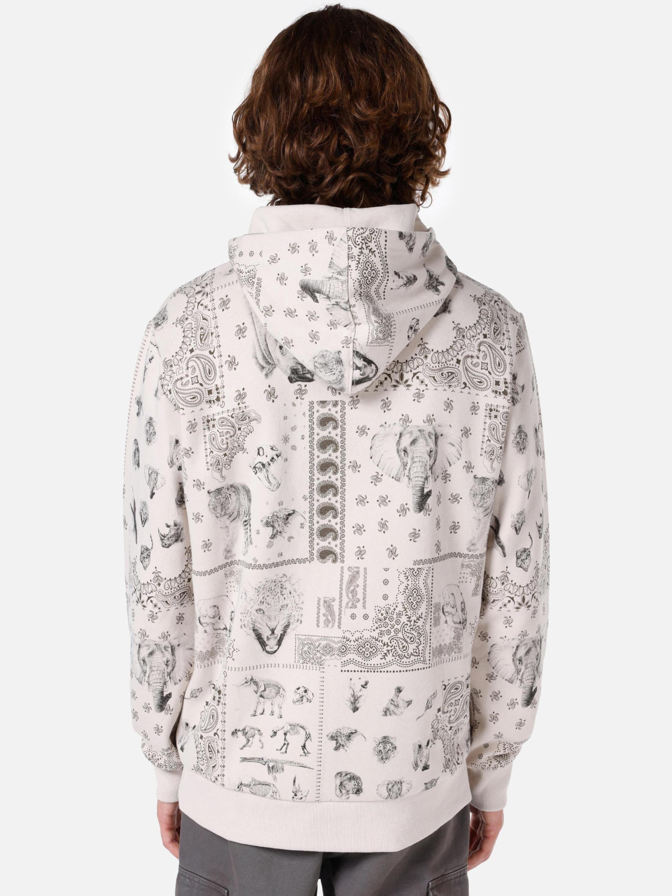 Худи и свитшоты Colin’s модель CL1061752_Q1.V1_BEI Фото