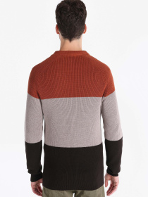 Худи и свитшоты Colin’s модель CL1066283_Q1.V1_BRW Худи и свитшоты Colin’s модель CL1066283_Q1.V1_BRW Фото