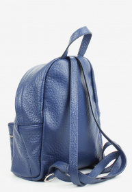 Рюкзаки Bella Bertucci модель 7668-07-32 Фото