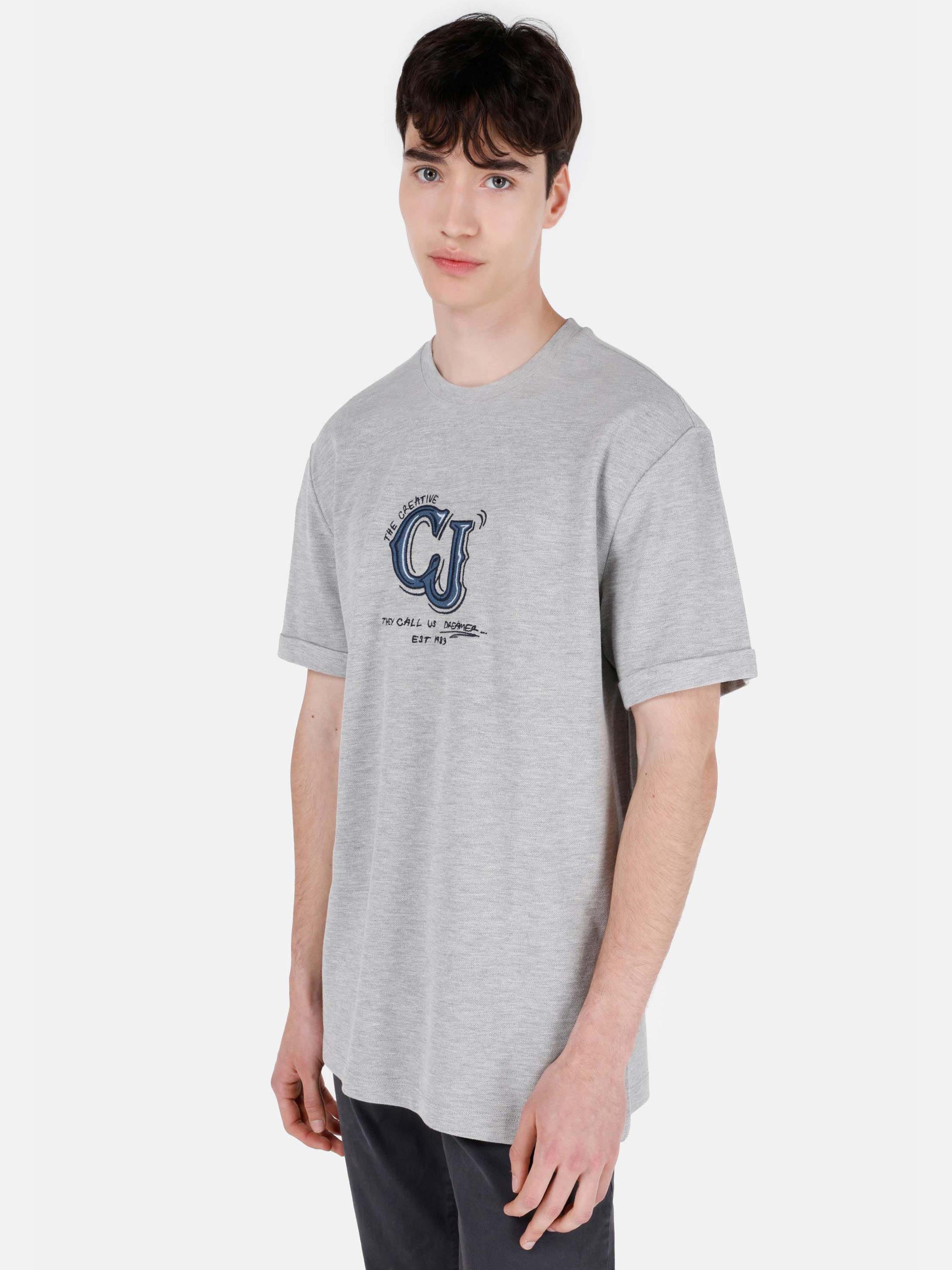 Чоловічі Футболки і поло Colin’s  (CL1071732_Q1.V1_MGA) колір сірий, матеріал комбінований верх Colin’s - купити в Україні