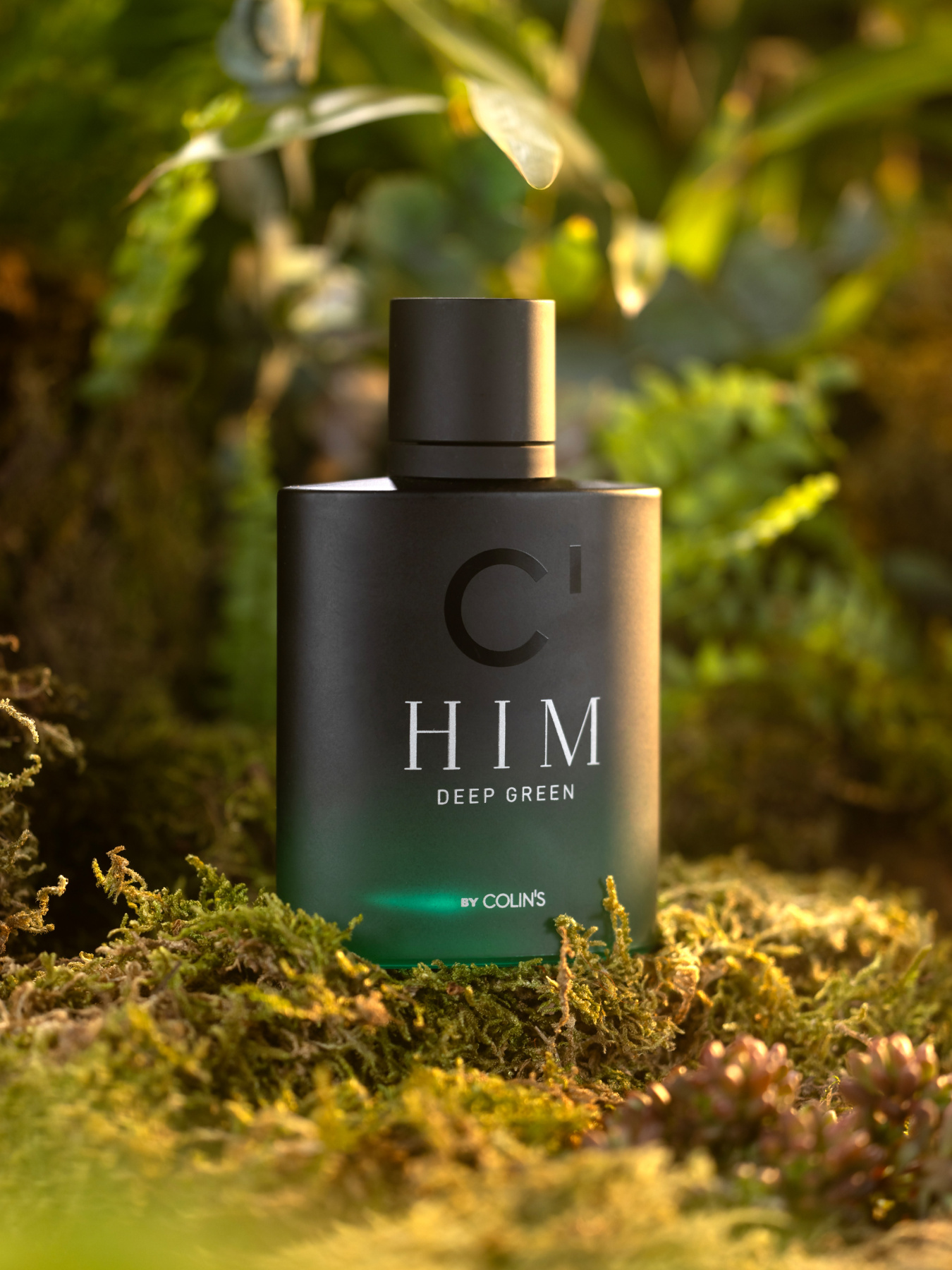 Edp Духи Чоловічий Мультіколор  Cl1071813 Colin’s модель CL1071813_Q1.V1_MTC Фото