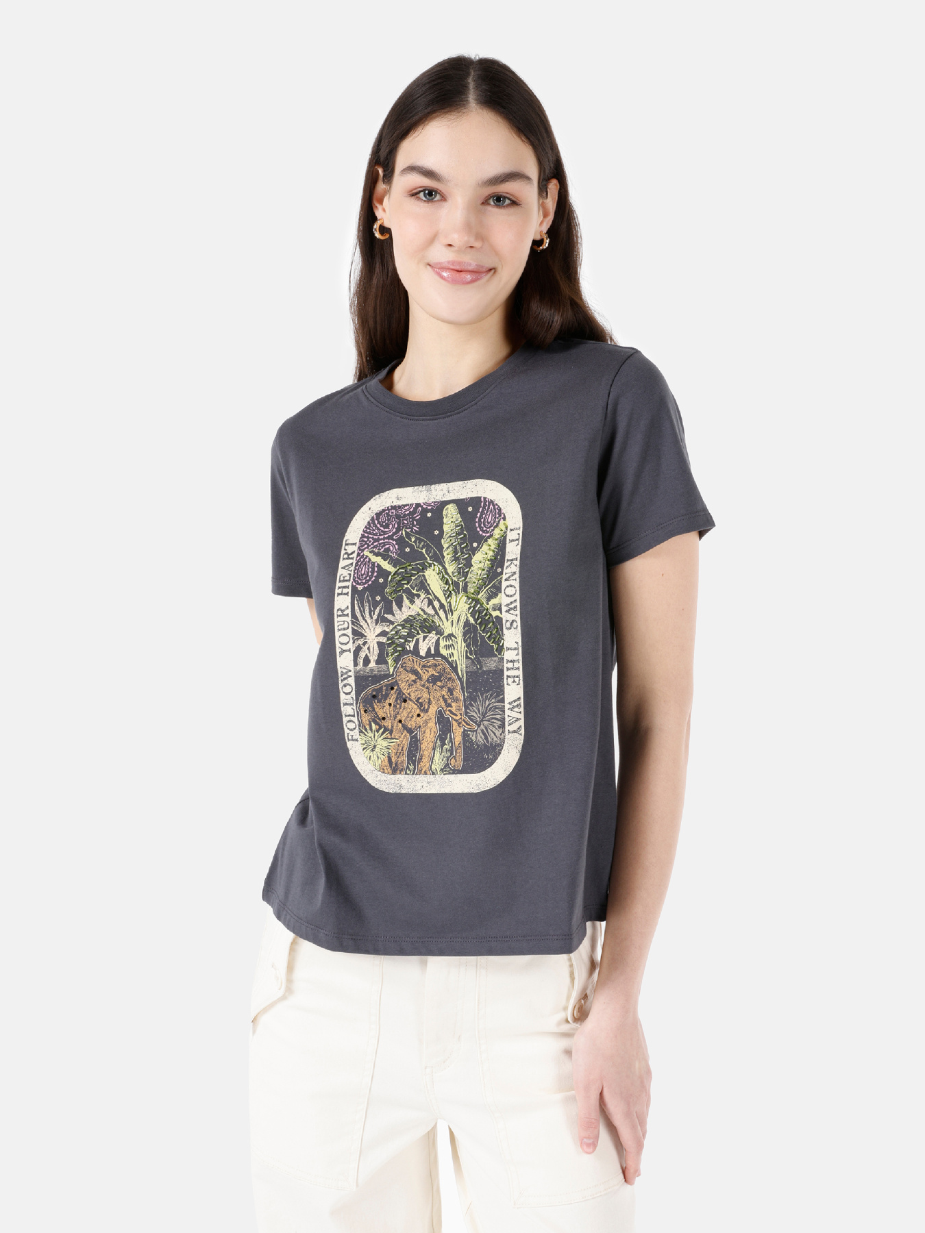 Футболки і поло Colin’s модель CL1067936_Q1.V1_ANT Фото