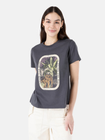 Футболки и поло Colin’s модель CL1067936_Q1.V1_ANT Фото