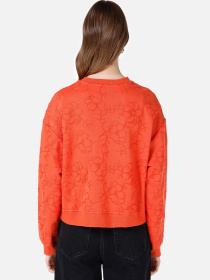 Худи и свитшоты Colin’s модель CL1067302_Q1.V1_ORA Фото