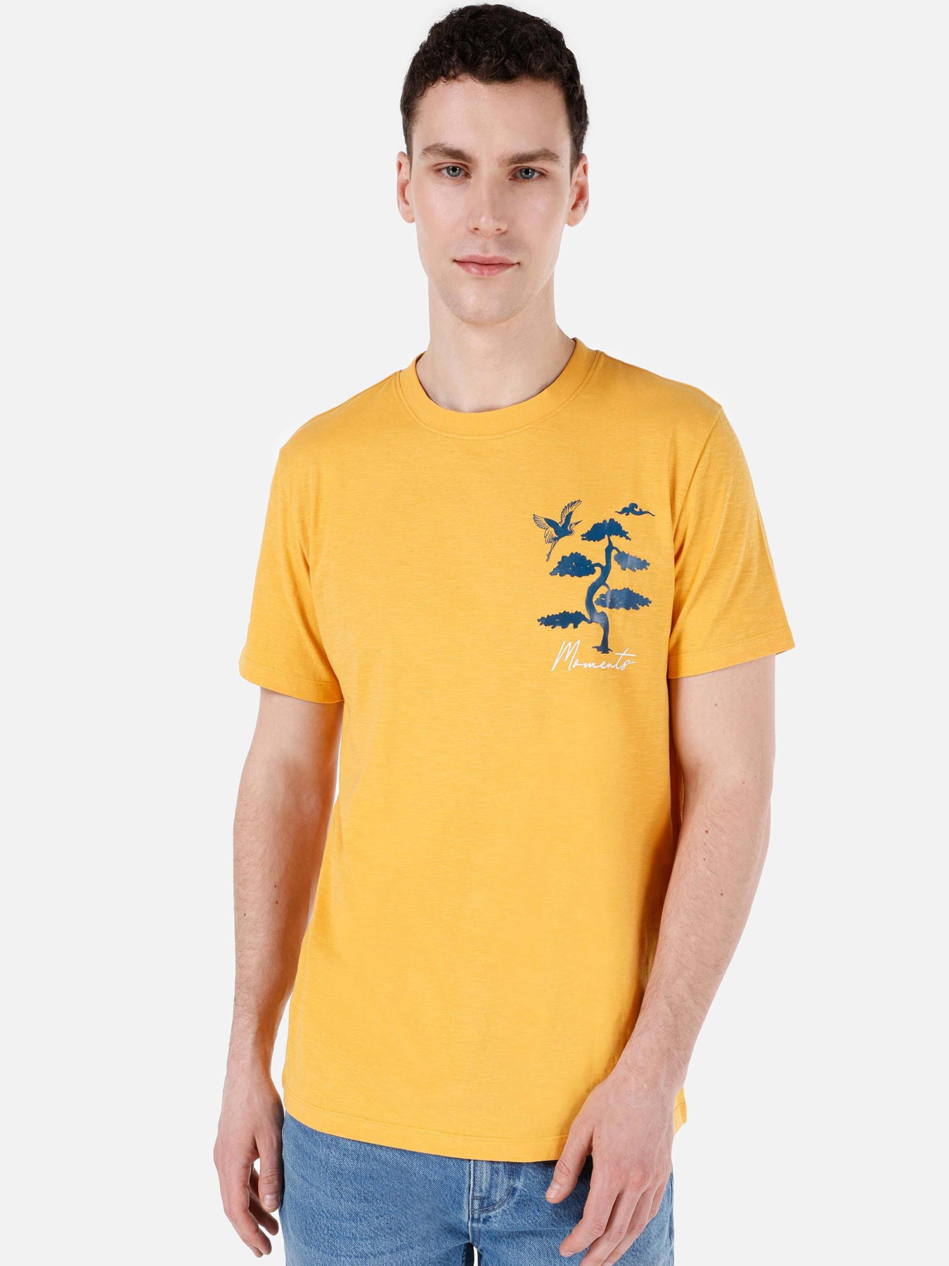 Футболки и поло Colin’s модель CL1068073_Q1.V1_YLS Фото