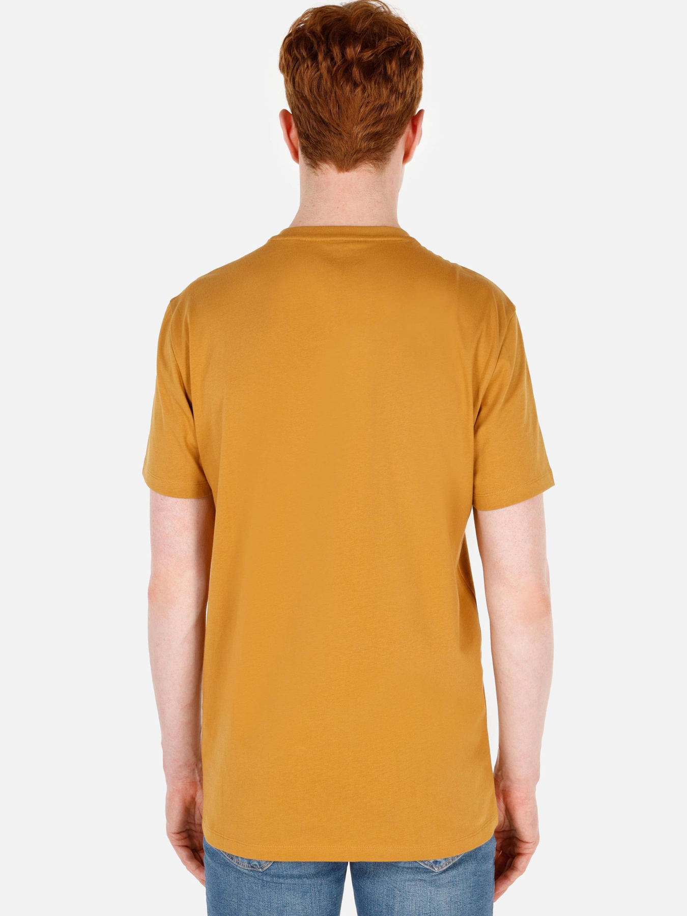 Футболки и поло Colin’s модель CL1069923_Q1.V1_MTD Фото