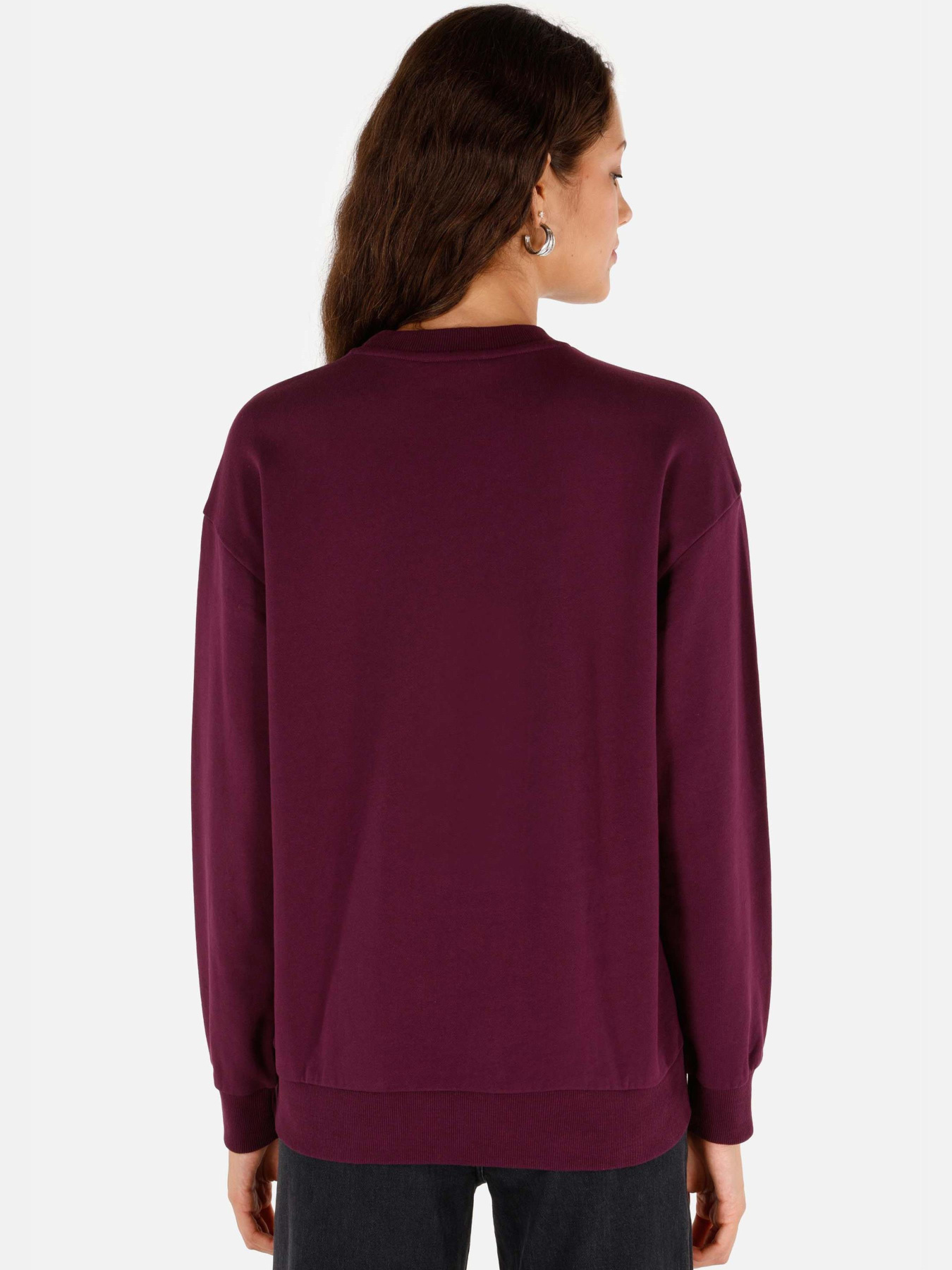 Худі та світшоти Colin’s модель CL1070197_Q1.V1_PLM Фото