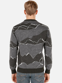 Худи и свитшоты Colin’s модель CL1071693_Q1.V1_GRE Фото