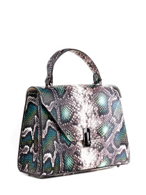 Сумка Bella Bertucci модель 3051-08-35 Фото