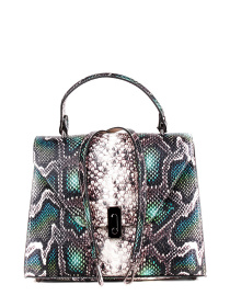 Сумка Bella Bertucci модель 3051-08-35 Фото