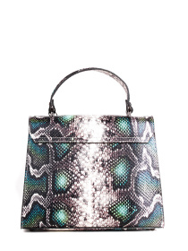 Сумка Bella Bertucci модель 3051-08-35 Фото