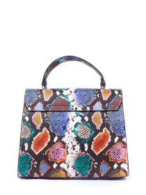 Сумка Bella Bertucci модель 3051-57-35 Фото