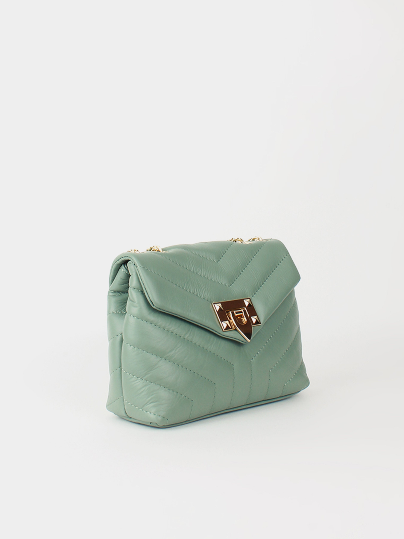 Сумка Bella Bertucci модель 5815-81-37 Фото