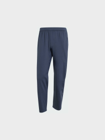 Штани спортивні Adidas модель JI8233 Фото