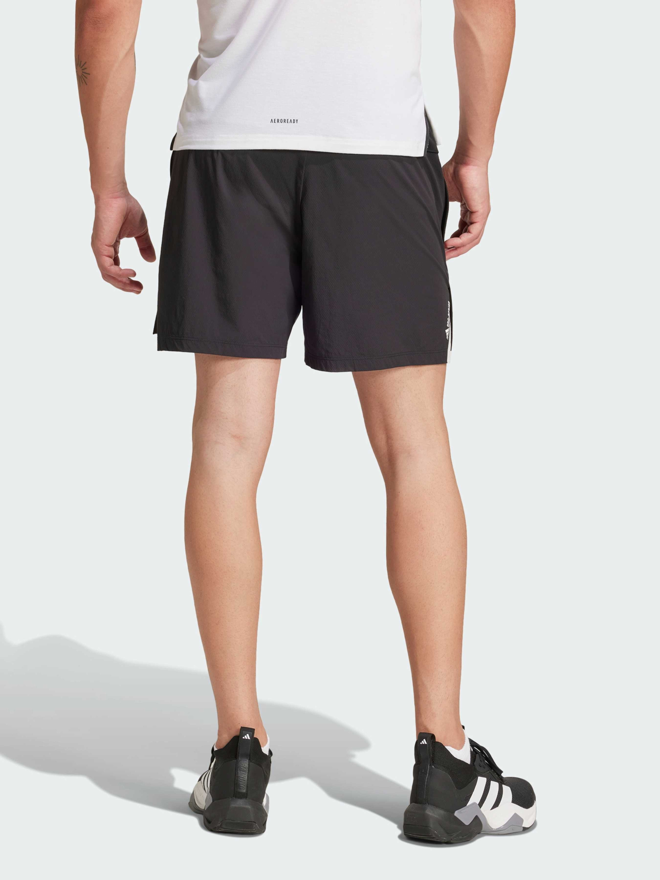 Спортивні шорти Adidas модель JE8245 Фото