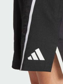 Спортивні шорти Adidas модель JE8245 Фото