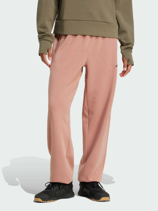 Штаны спортивные Adidas Clima модель JN7176 Фото