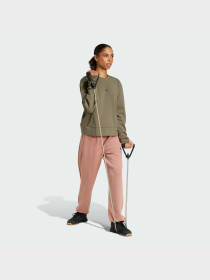 Спортивні штани Adidas Clima модель JN7176 Фото