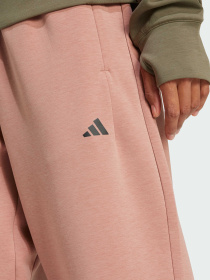 Спортивні штани Adidas Clima модель JN7176 Фото