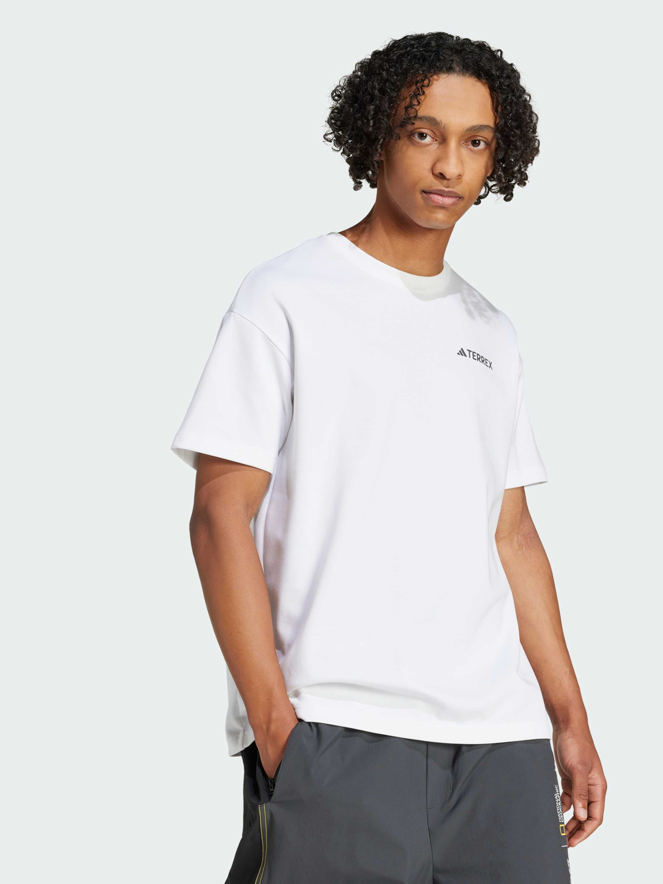 Спортивная футболка Adidas модель JD5956 Фото