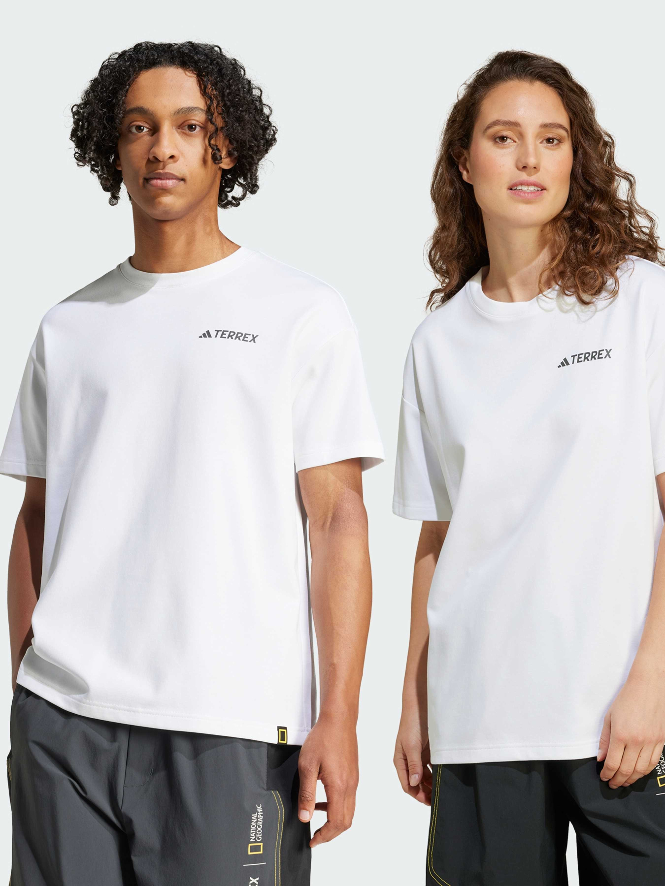 Спортивная футболка Adidas модель JD5956 Фото