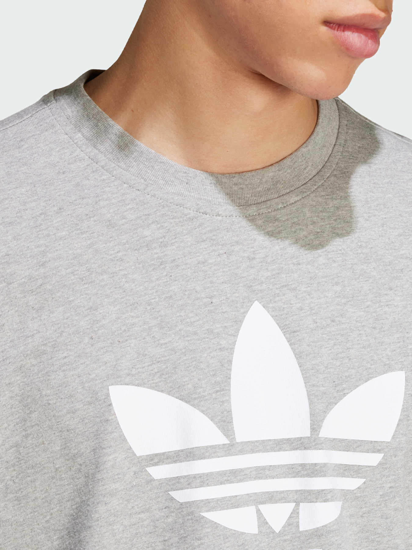 Футболка Adidas Adicolor модель IS0613 Фото