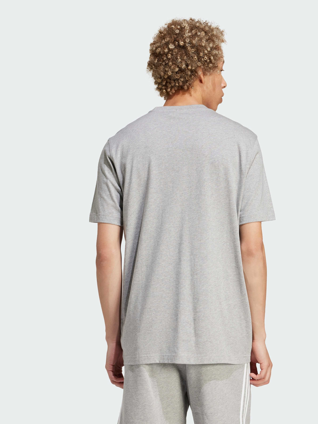 Футболка Adidas Adicolor модель IS0613 Футболка Adidas Adicolor модель IS0613 Фото