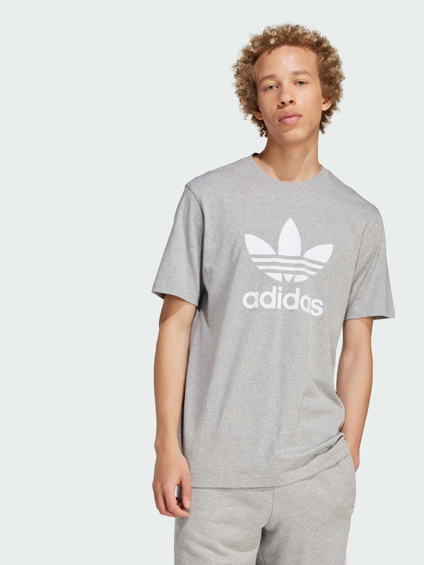 Футболка Adidas Adicolor модель IS0613 Футболка Adidas Adicolor модель IS0613 Фото