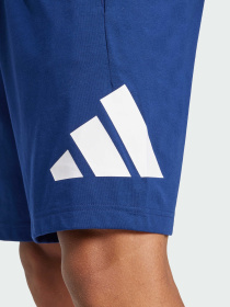 Шорти Adidas модель IS6910 Фото