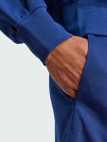 Шорти Adidas модель IS6910 Фото