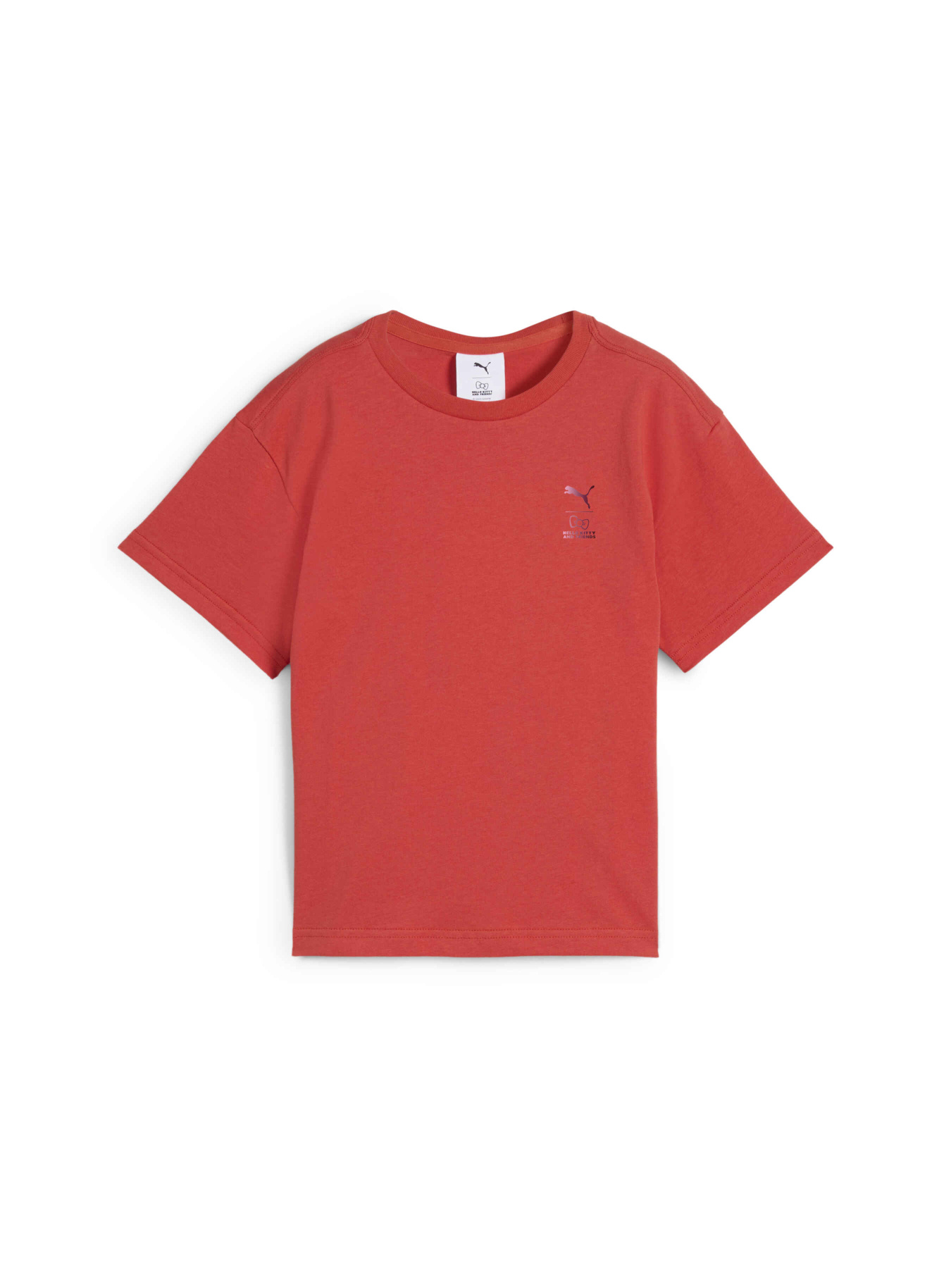 Футболка PUMA x Hk&fr Graphic Tee модель 630062 Фото