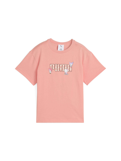 Футболка PUMA x Hk&fr Graphic Tee модель 630062 Фото