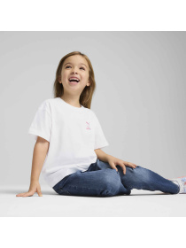 Футболка PUMA x Hk&fr Graphic Tee модель 630062 Фото