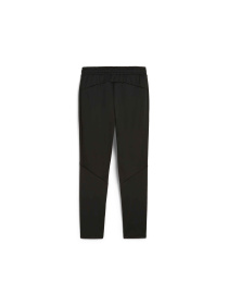 Штаны спортивные PUMA Evostripe Pants модель 681704 Фото