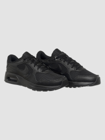 Кроссовки NIKE Air Max модель CW4555-003 Фото