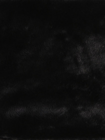 Шарфи та хустки Colin’s модель CL1036848_Q1.V1_BLK Фото