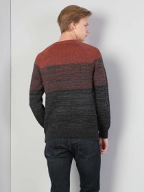 Худі та світшоти Colin’s модель CL1044354_Q1.V1_BCM Фото