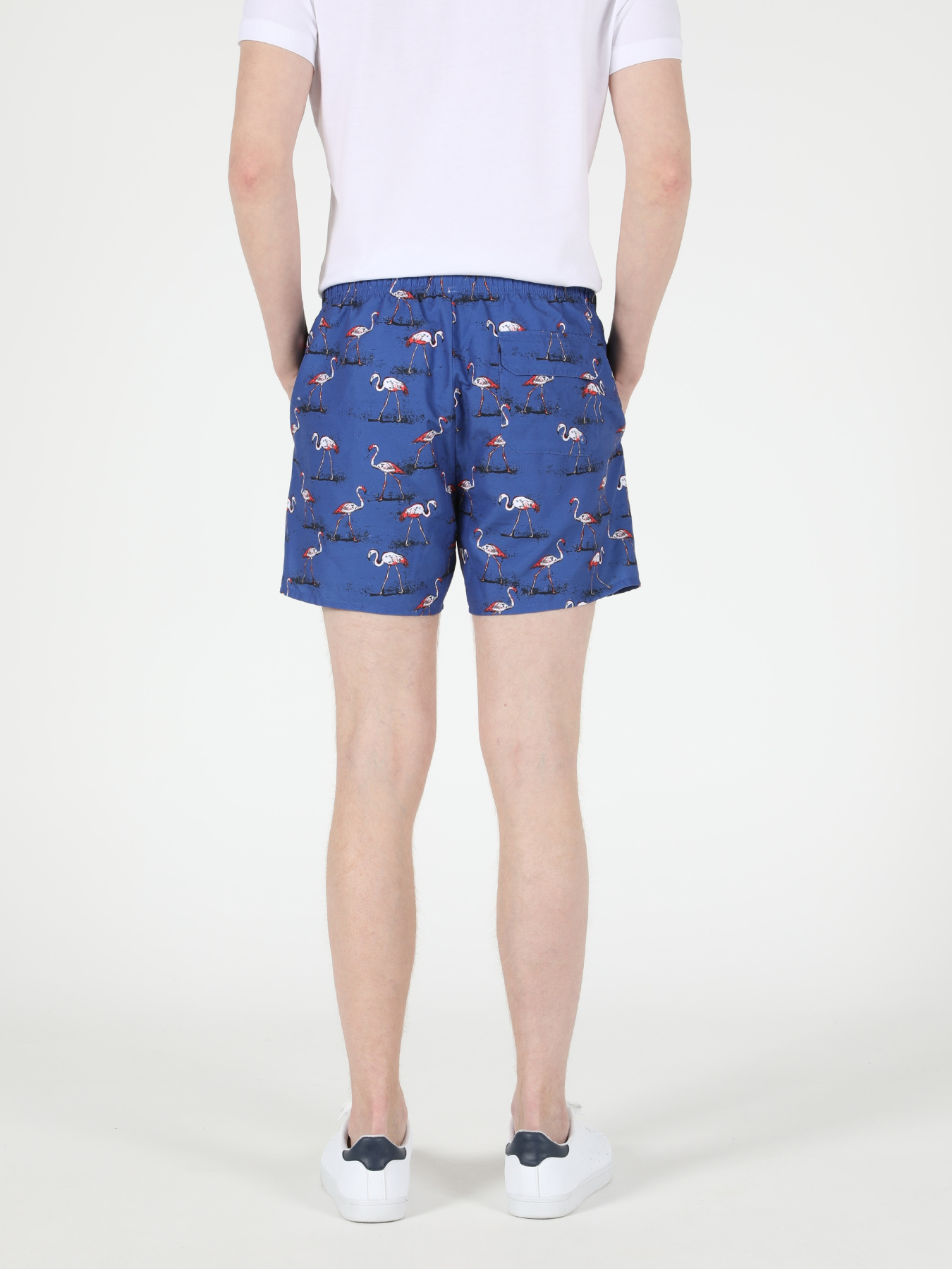 Одяг для пляжу Colin’s модель CL1051029_Q1.V1_BLE Фото