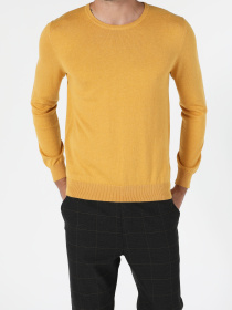 Кофты и свитера Colin’s модель CL1051445_Q1.V1_YLM Фото