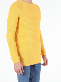 Кофты и свитера Colin’s модель CL1052362_Q1.V1_YLS Фото