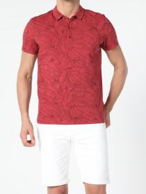 Футболки и поло Colin’s модель CL1052873_Q1.V1_TER Фото